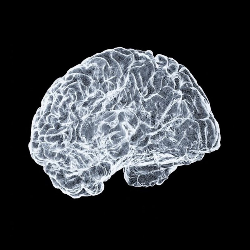 Psychological testing at Cogniscribe